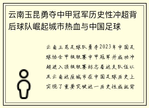 云南玉昆勇夺中甲冠军历史性冲超背后球队崛起城市热血与中国足球 云南玉昆勇夺中甲冠军历史性冲超背后球队崛起城市热血与中国足球